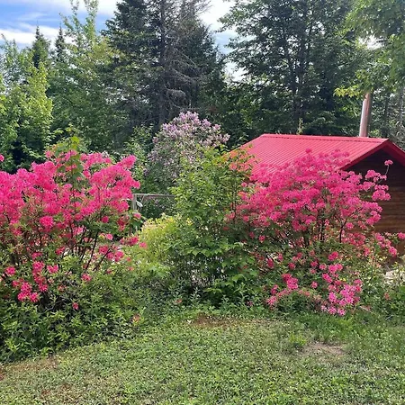 Les Oursons Bed And Breakfast-2
